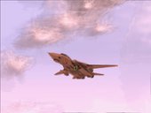 F-14D Derpy