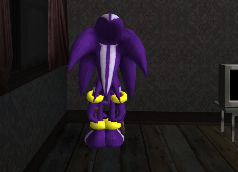 Sonic & the Secret Rings: Darkspine Sonic Skin 