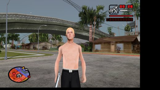 Eminem Skin