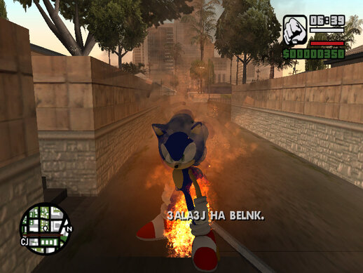 Sonic Mod