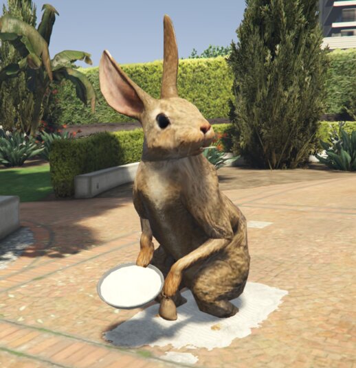 Bunny Dealer RC (Menyoo)