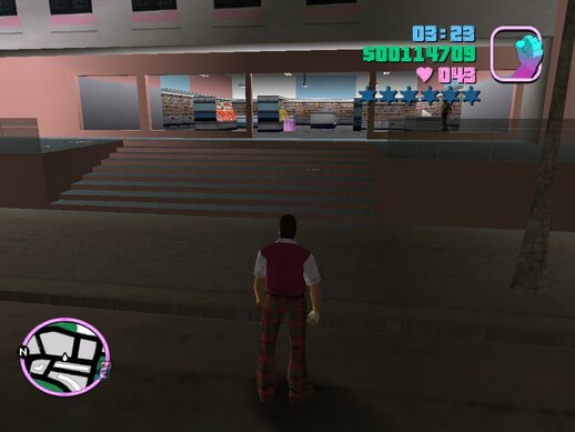 Shopping For GTA Vice City