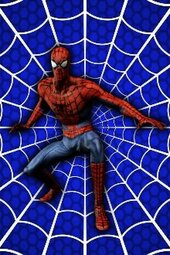 Spider-Man (Marvel Ultimate Alliance II)