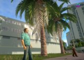 GTA Vice City Next Gen Edition Restored Missing Weapons