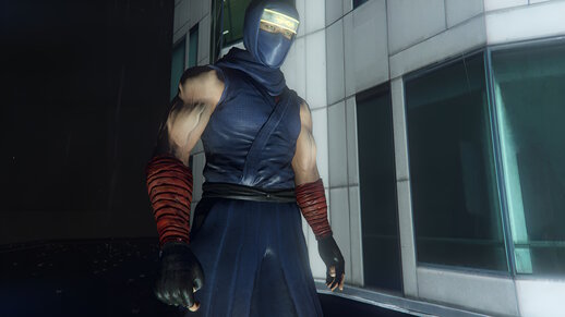 Ryu Hayabusa (From Nioh) 