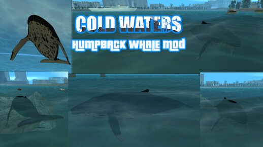 Cold Waters Humpback Whale Mod